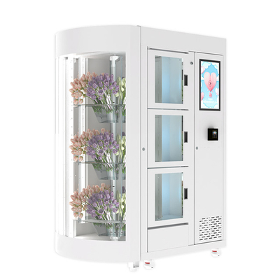 O humidificador mantém a máquina de venda automática da flor fresca com refrigera o sistema de refrigeração 240V