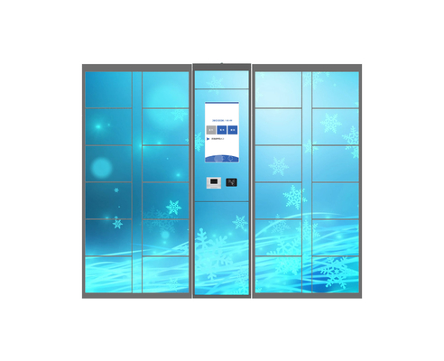 Sistema de controlo de Smart do cacifo da entrega do pacote de Winnsen com varredor do QR Code